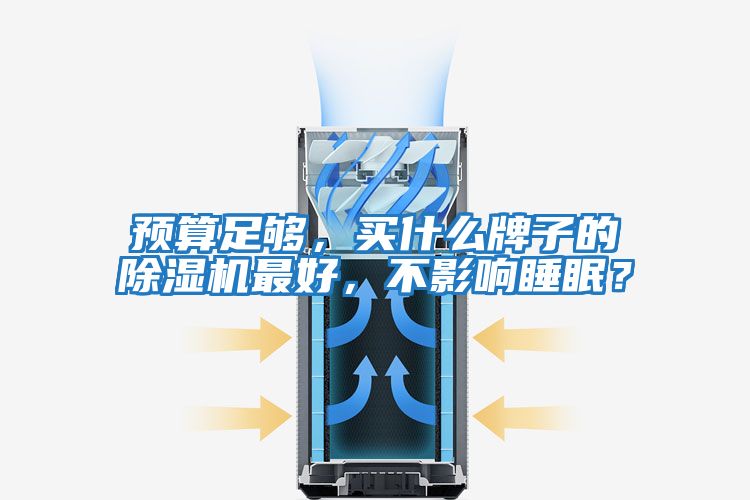 預算足夠,買什么牌子的除濕機最好,不影響睡眠?